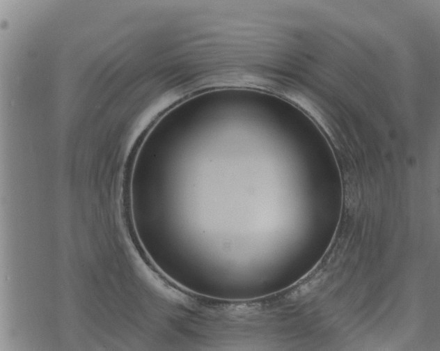 X0000074941139200609081344