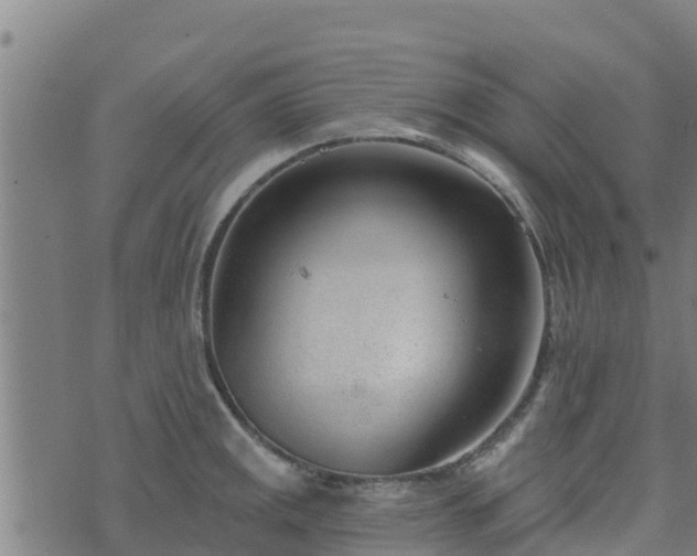 X0000074941141200609081344