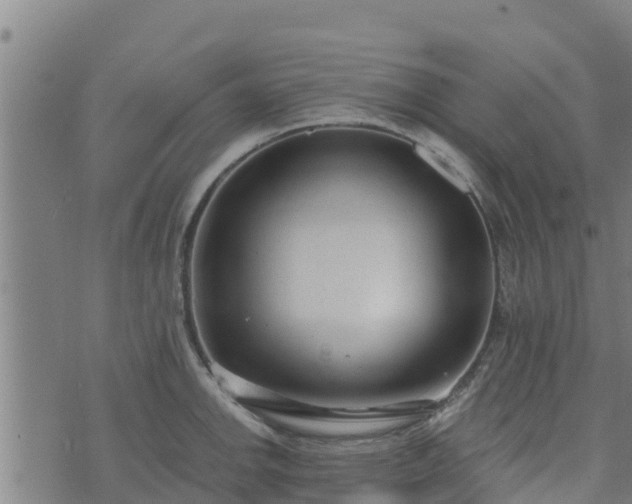 X0000074941142200609081344