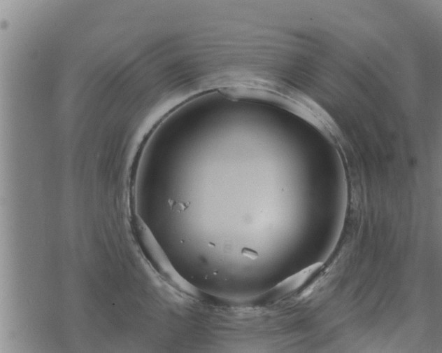 X0000074941144200609081344