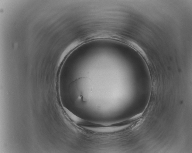 X0000074941146200609081344