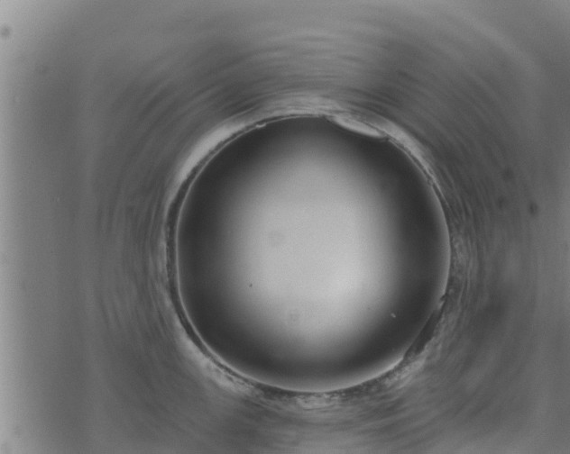 X0000074941147200609081344