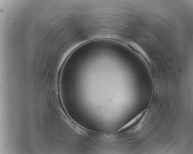 X0000074941148200609081344