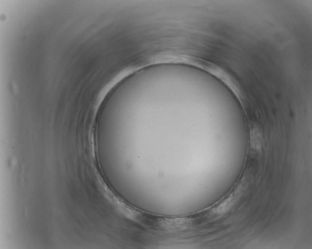 X0000074941150200609081344