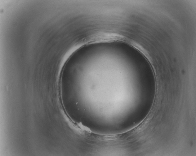 X0000074941152200609081344