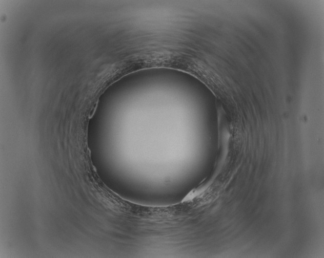 X0000074941153200609081344