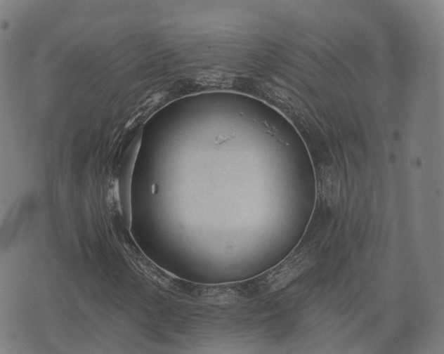 X0000074941154200609081344