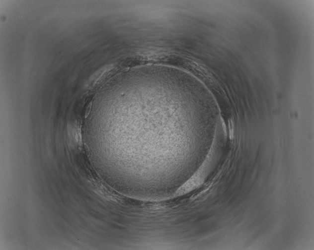 X0000074941155200609081344