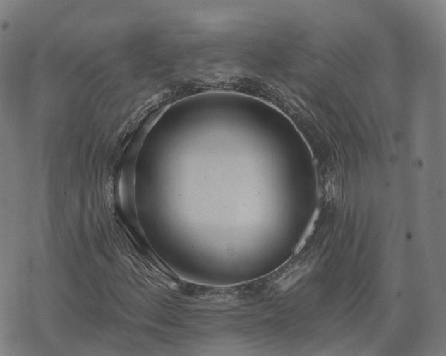 X0000074941156200609081344