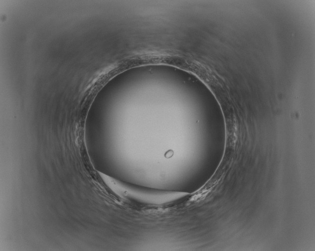 X0000074941157200609081344