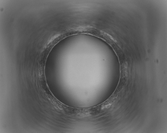 X0000074941158200609081344