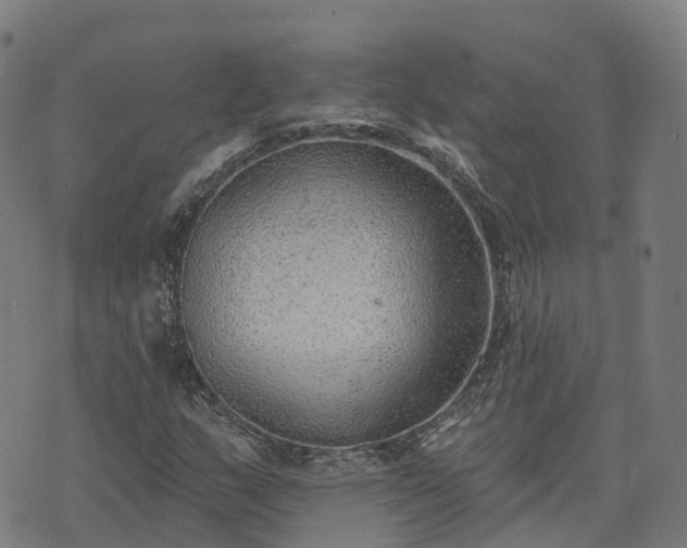 X0000074941159200609081344