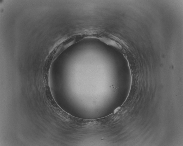 X0000074941160200609081344