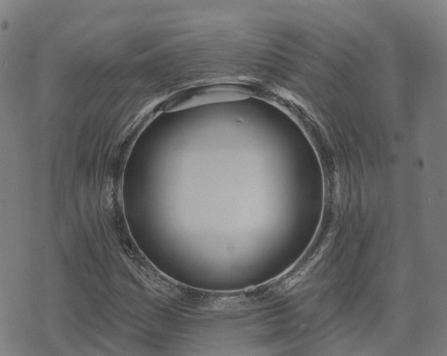 X0000074941161200609081344