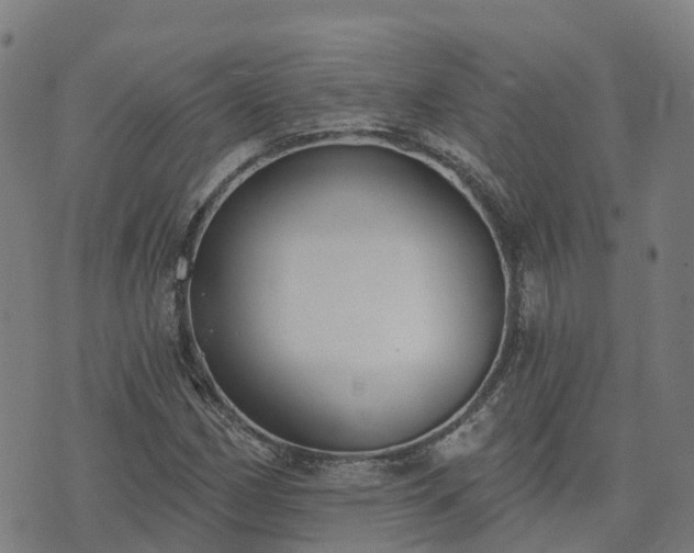 X0000074941162200609081343