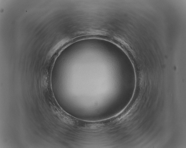 X0000074941163200609081343