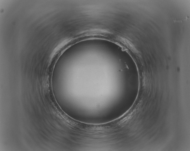 X0000074941164200609081343