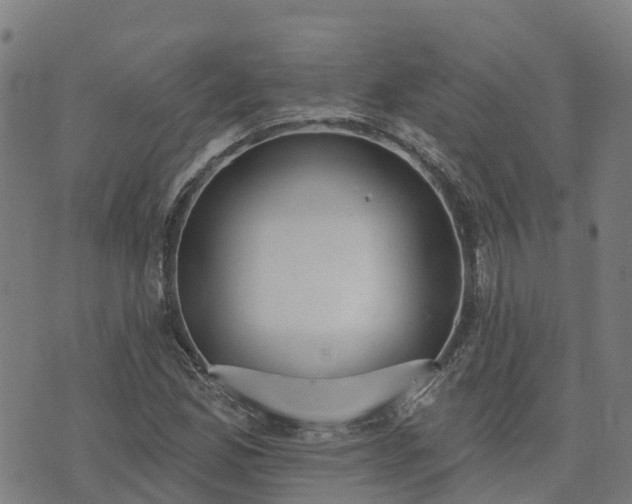 X0000074941165200609081343