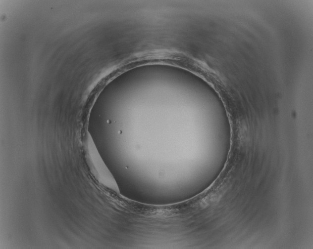 X0000074941166200609081343