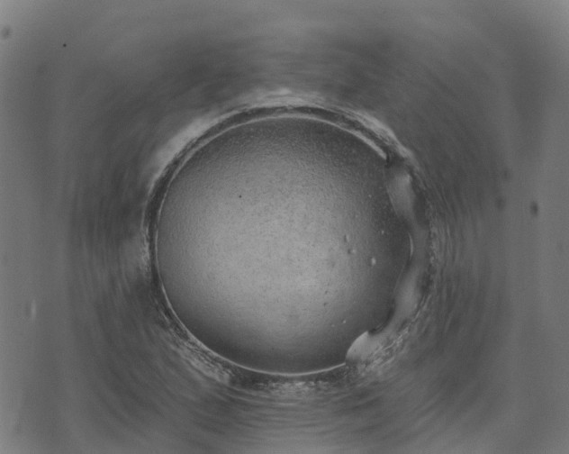 X0000074941167200609081343