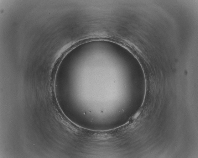 X0000074941168200609081343