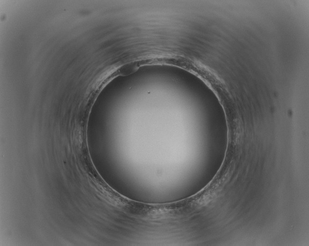 X0000074941169200609081343