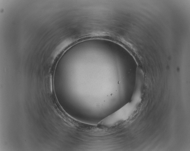 X0000074941171200609081343