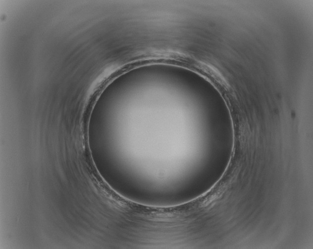 X0000074941172200609081343