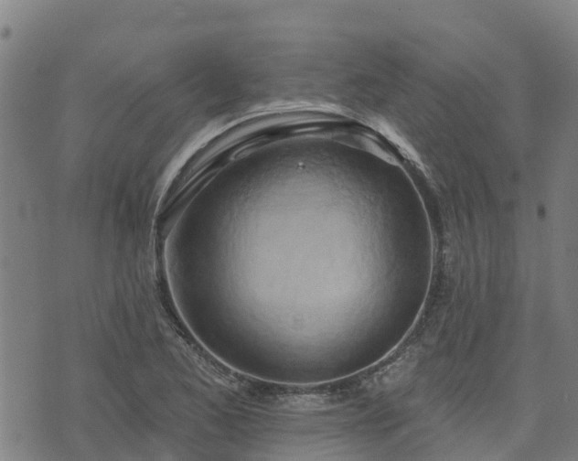 X0000074941173200609081343