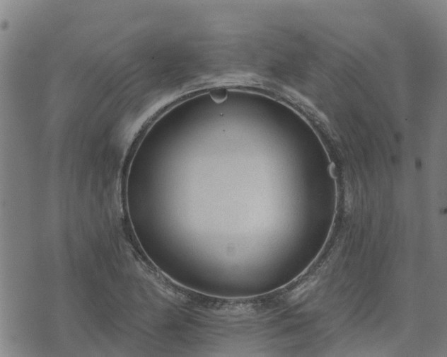 X0000074941174200609081343