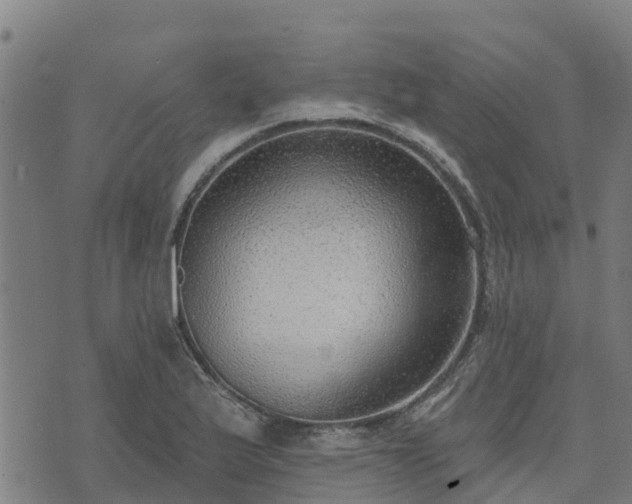 X0000074941175200609081343