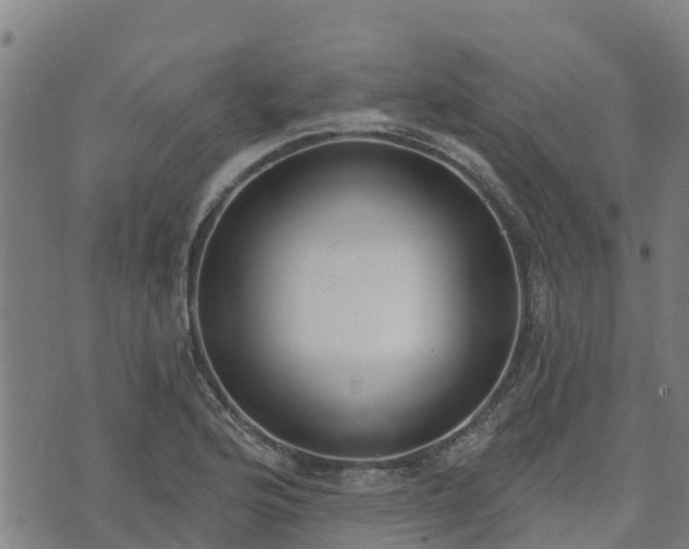 X0000074941176200609081343