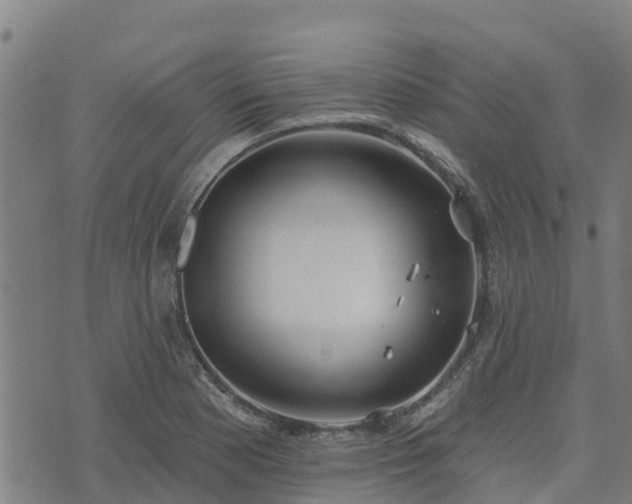 X0000074941177200609081343