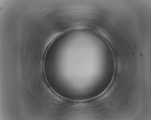 X0000074941178200609081343