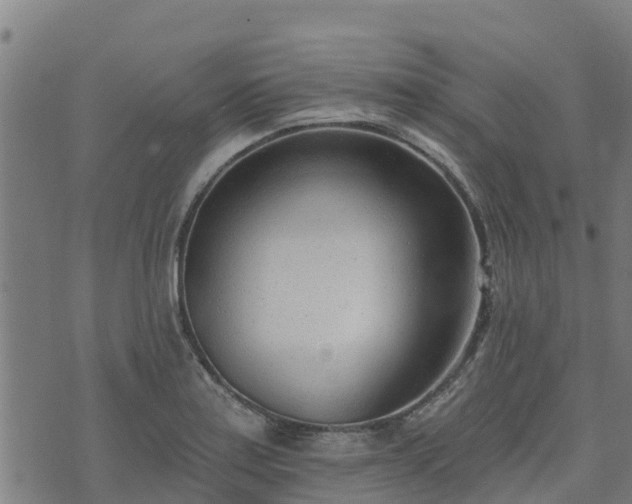 X0000074941179200609081343