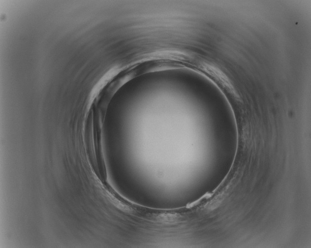 X0000074941180200609081343