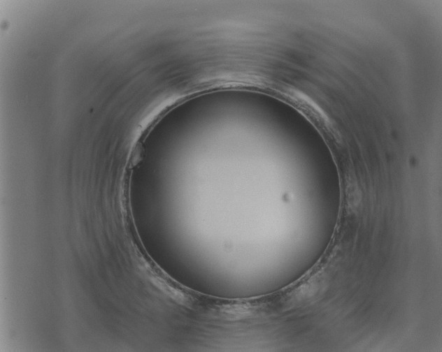 X0000074941182200609081343