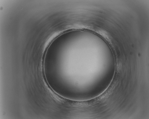 X0000074941183200609081343