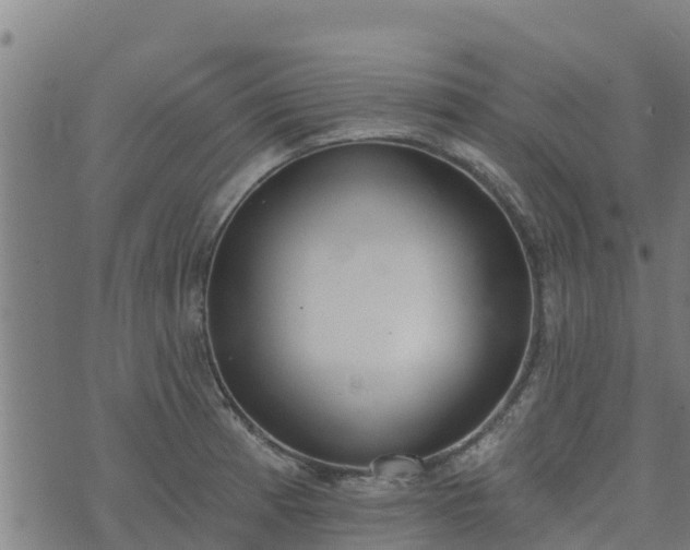 X0000074941185200609081343