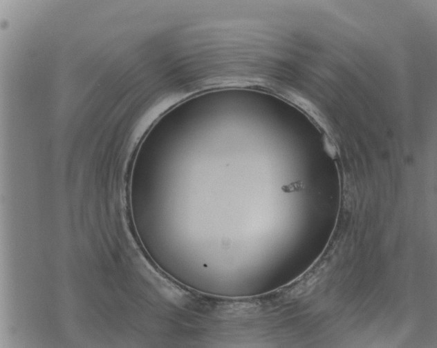 X0000074941187200609081343