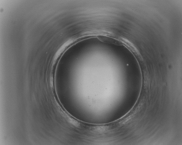 X0000074941188200609081343