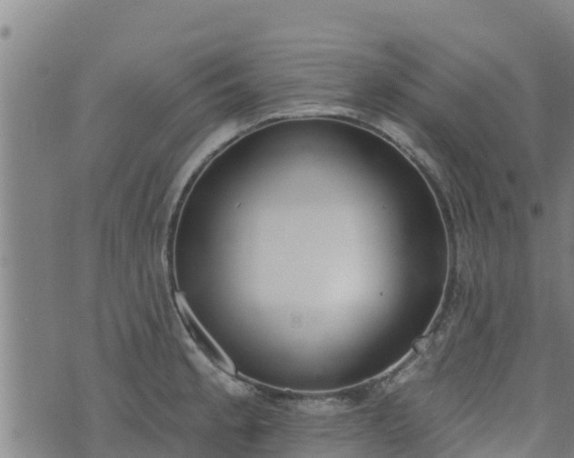 X0000074941189200609081343