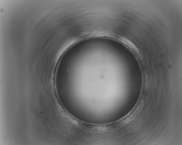 X0000074941190200609081343