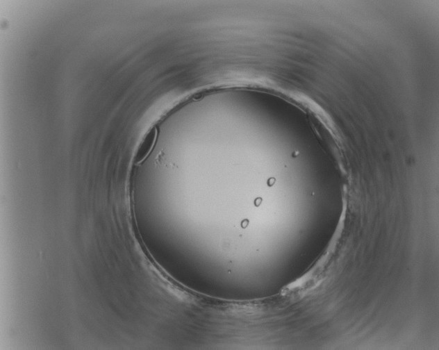 X0000074941191200609081343