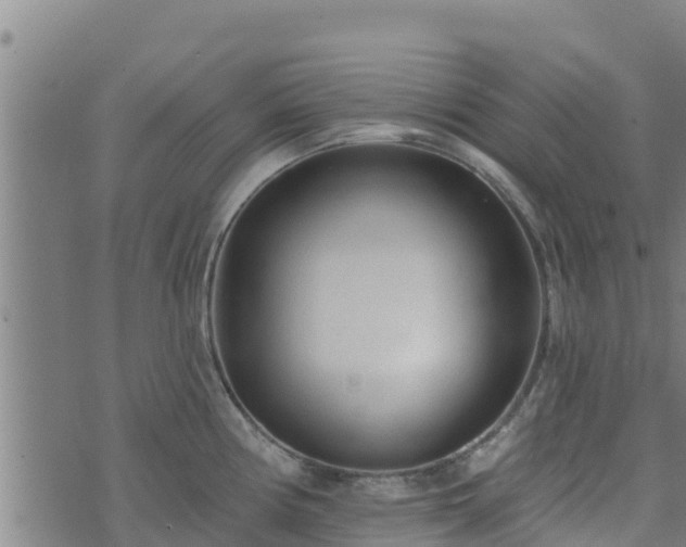 X0000074941194200609081343