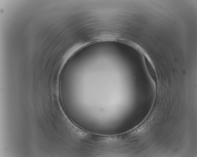 X0000074941195200609081343