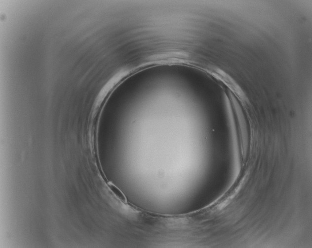 X0000074941196200609081343