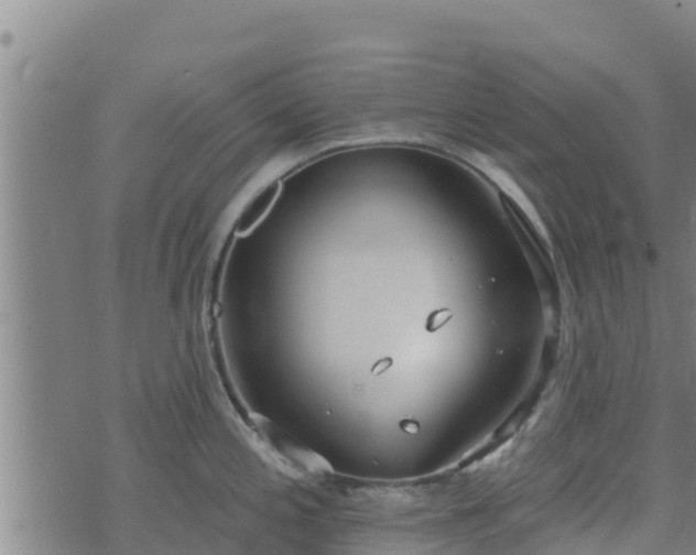 X0000074941197200609081343