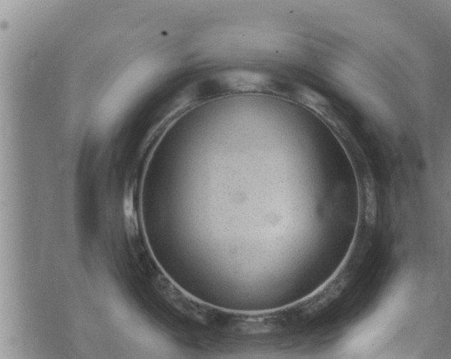 X0000074941198200609081343