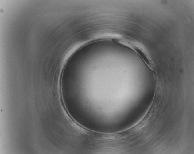 X0000074941199200609081343